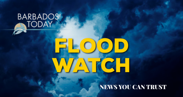 Flash flood watch in effect for parts of the island