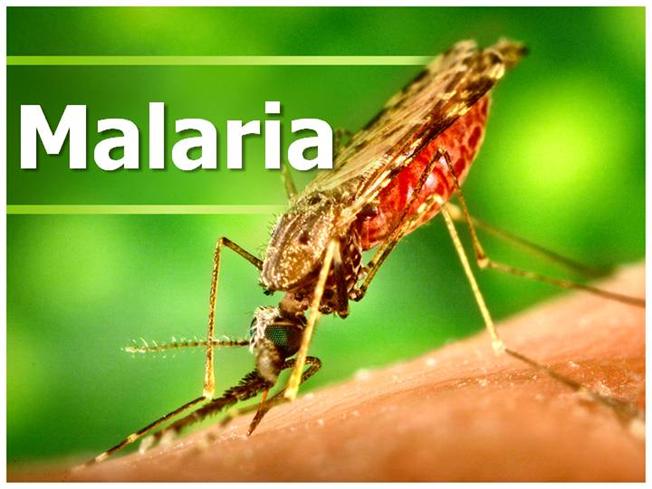 Ghanaian nurse tests positive for Malaria - Barbados Today