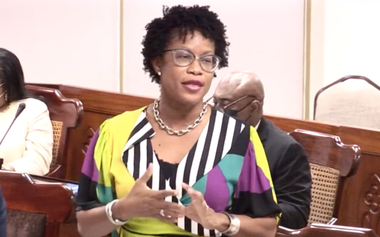 Senators: People must have stake in Glendairy project - Barbados Today