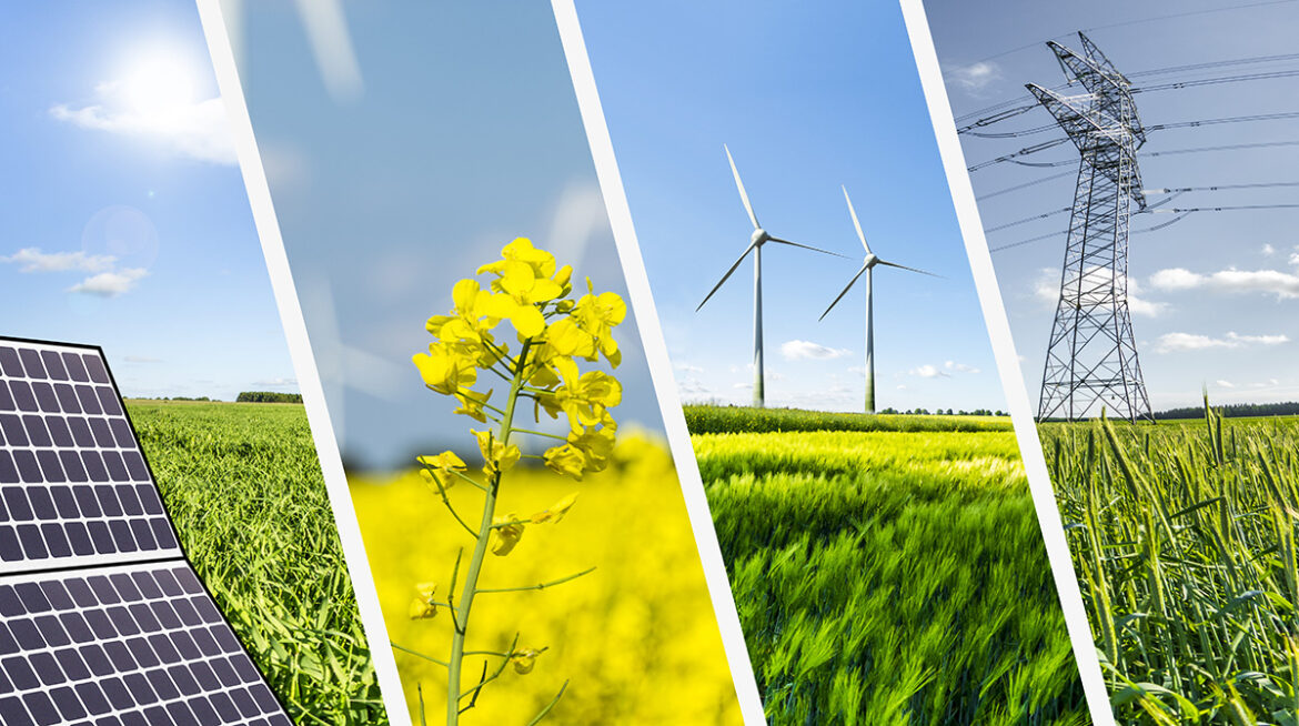 The region must also fast-track its transition to renewable energy sources such as solar, geothermal, wind, waste to energy, biomass and hydro power.