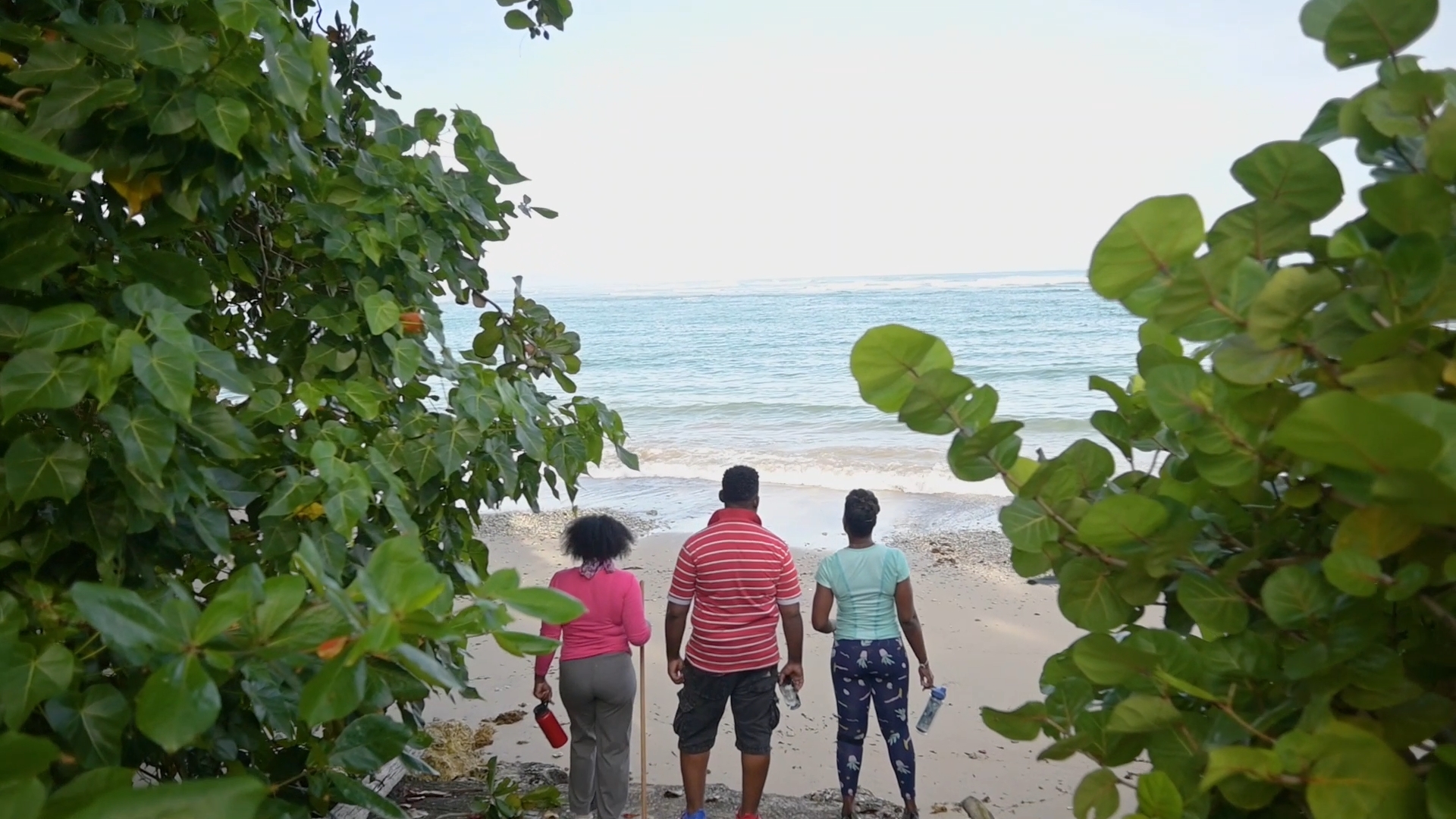 Exploring Barbados' Natural Beauty with Bajan Fusion: A Fitness Lifestyle Service - Read Sabrina Lee's Experience and Join in the Fun!