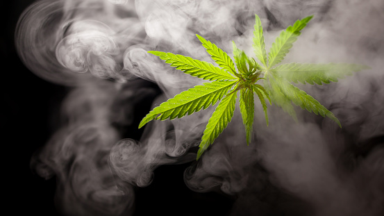 Brittons Hill man admits all cannabis charges
