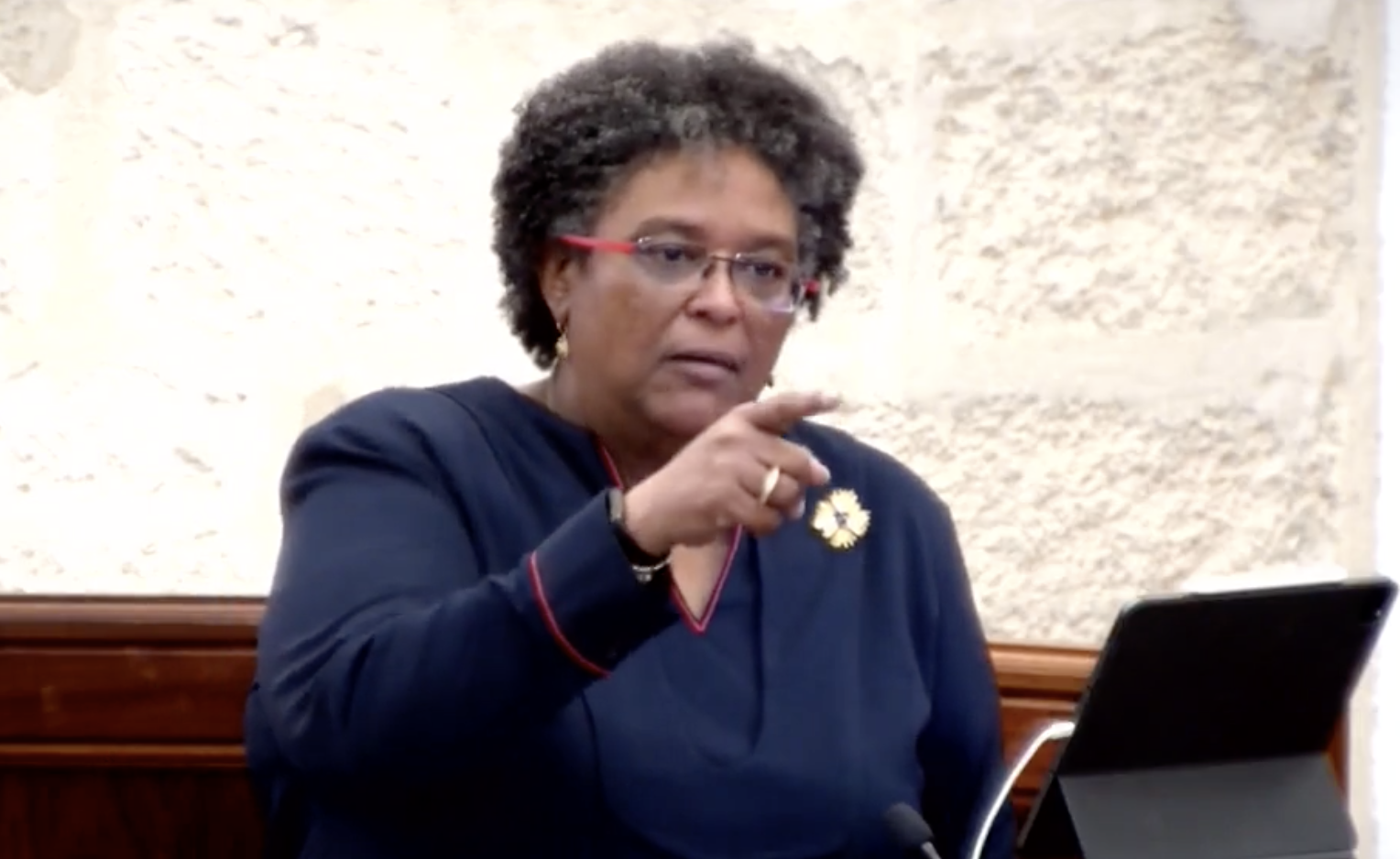 PM Mottley Urges Country To Allow Discussion On SOE Reform To Play Out ...