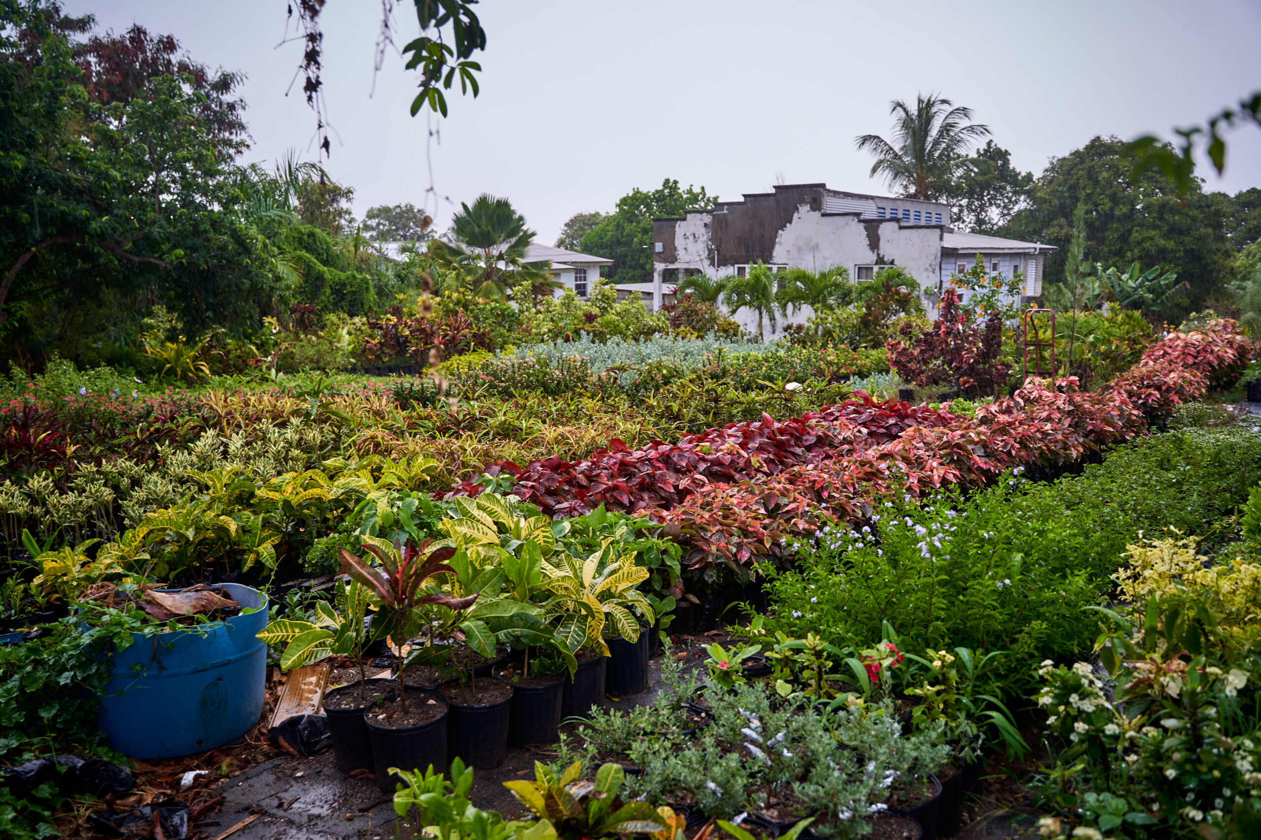 WATER WOES Barbados Today