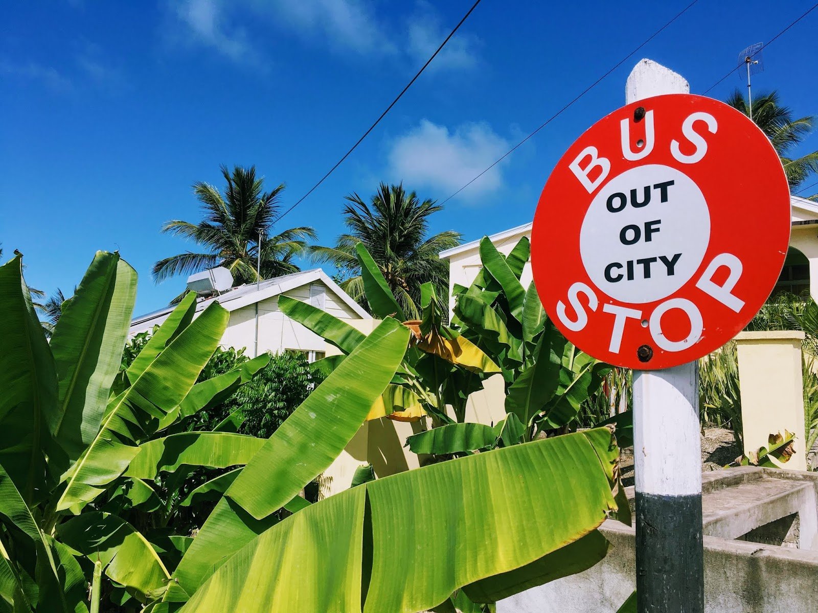 Minibus Driver Given Deadline to Pay Fines for Traffic Offences in Barbados