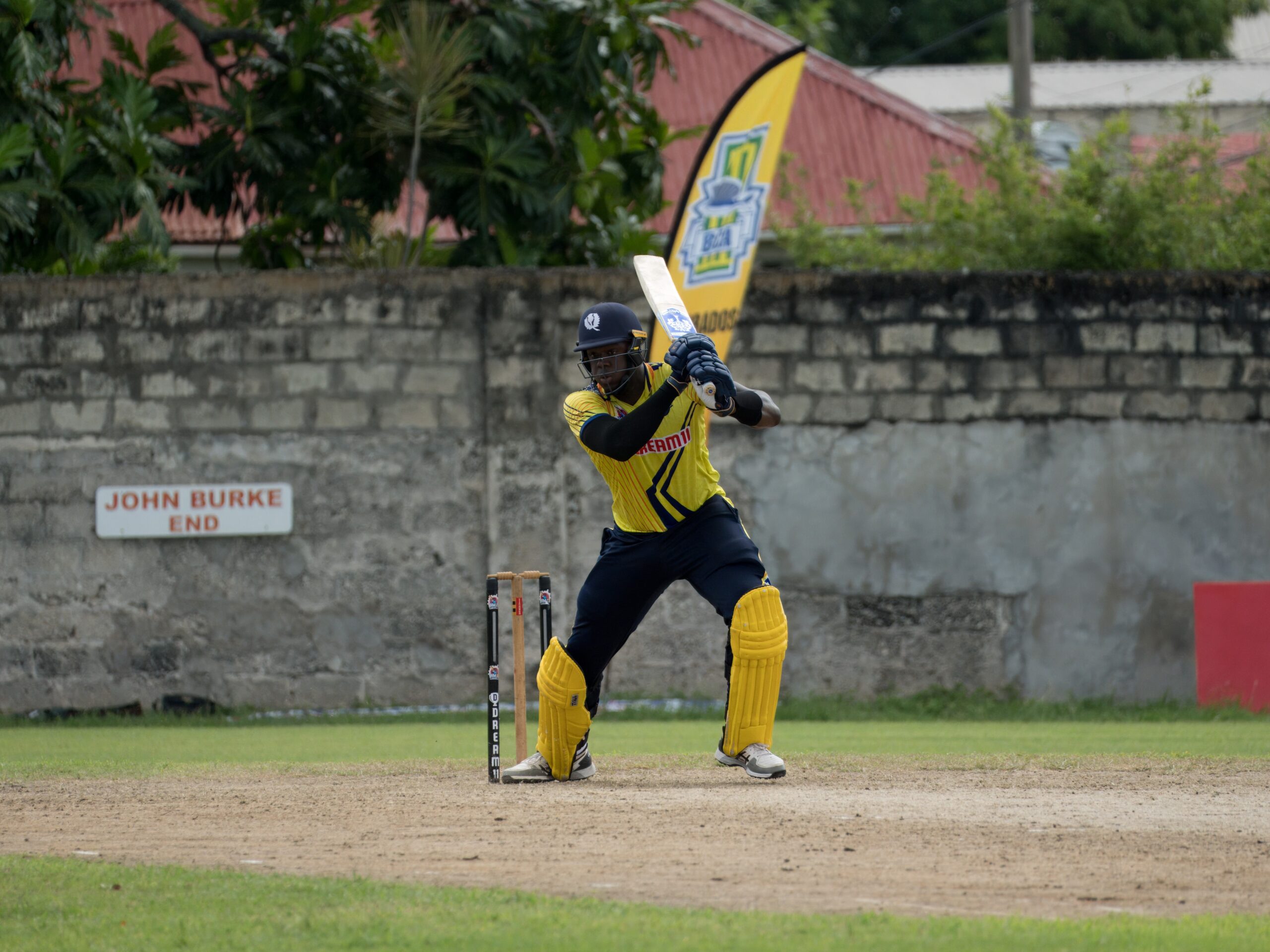 Pelicans take flight against Warriors - Barbados Today