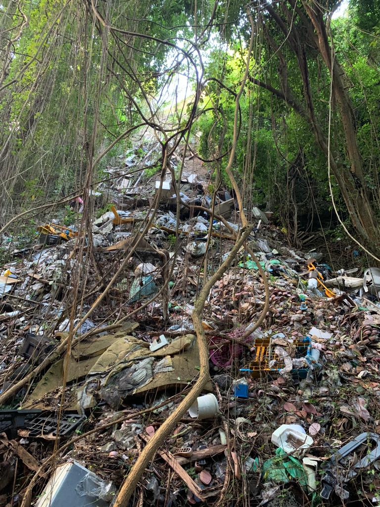 Ministry of Environment probing Green Hill illegal waste site