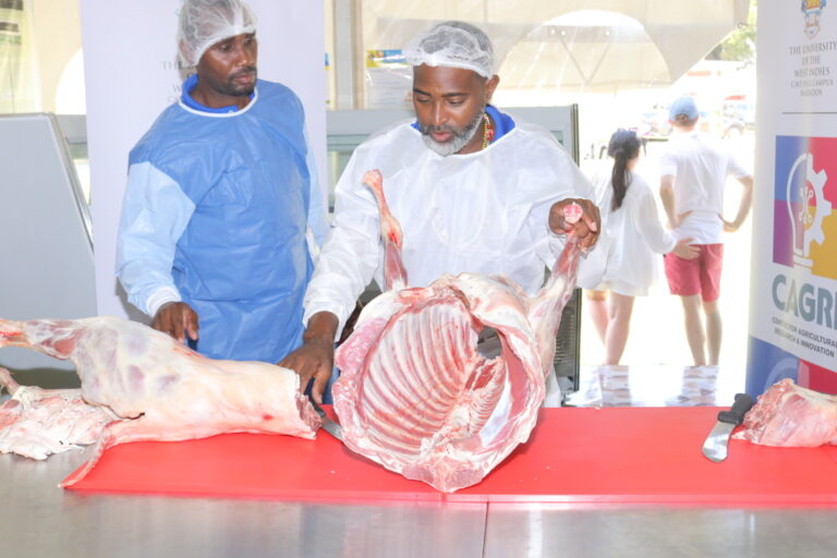 Expert butchers demonstrate meat cutting techniques at Agrofest