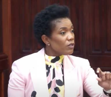 Barbados Minister Defends Cybercrime Bill to Address Online Bullying and Defamation