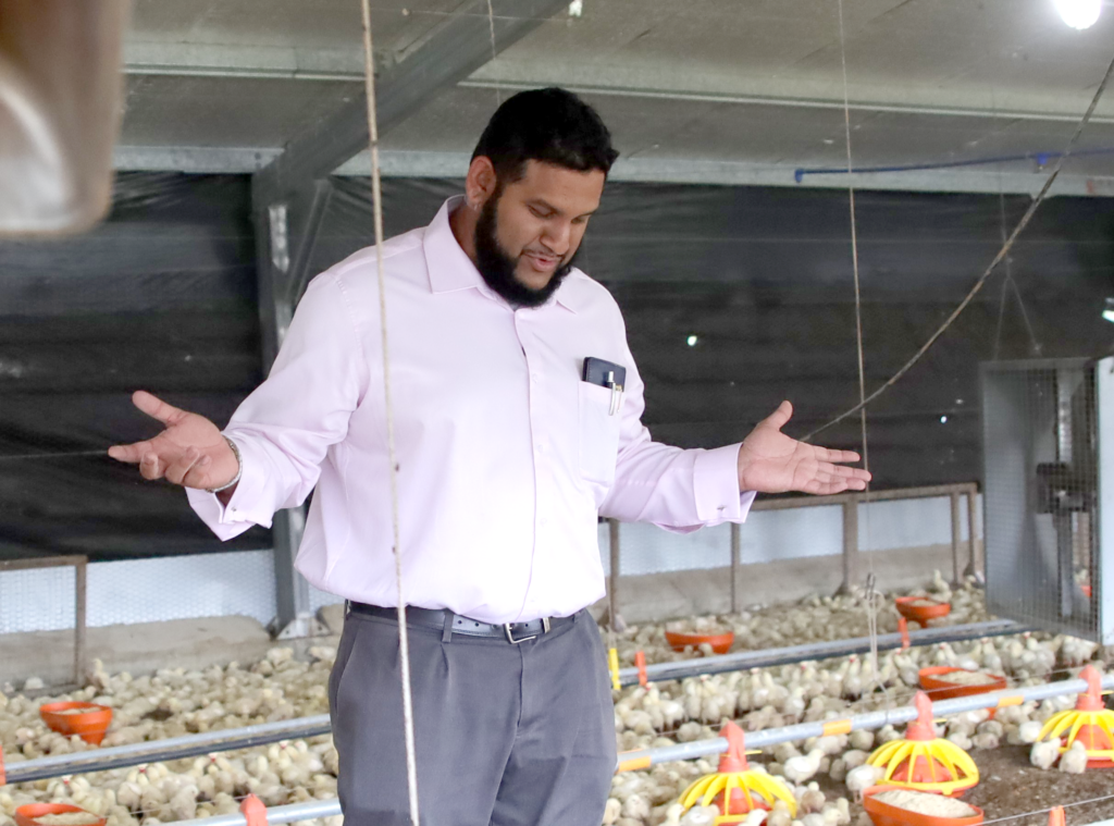 Barbados Chicken Industry Faces Uncertainty Amid Import Concerns for ICC T20 Cricket World Cup