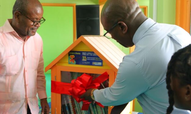 Rockfield, St. Lucy Launches Mini Library Initiative Offering Free Books for Youth