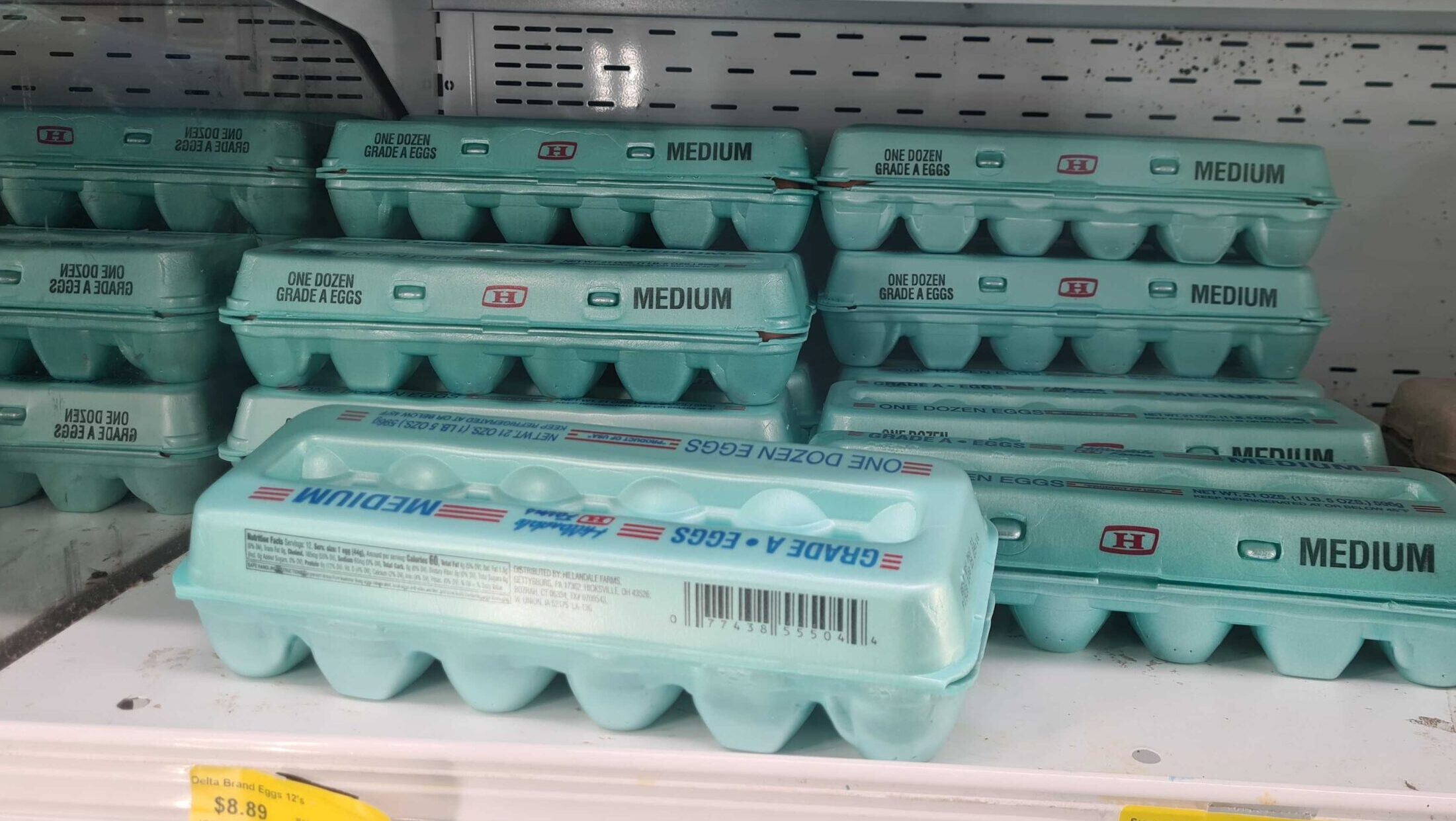 Barbados Investigates Use of Banned Polystyrene in Egg Packaging