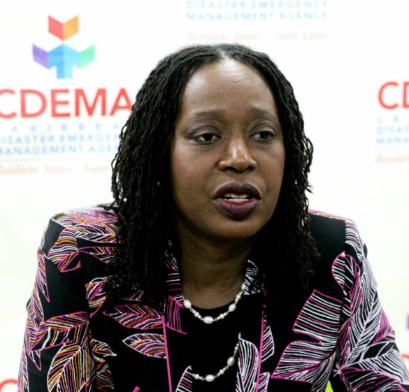 CDEMA, regional and international partners ready to assist ...