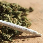 Barbados drug policy muddled, weed use widespread