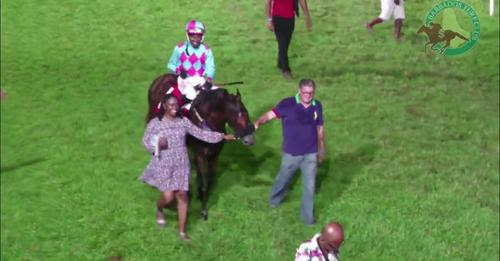 So Suave Defeats Renaissance Frolic in Run Barbados, Staking Claim as Top Horse in Barbados