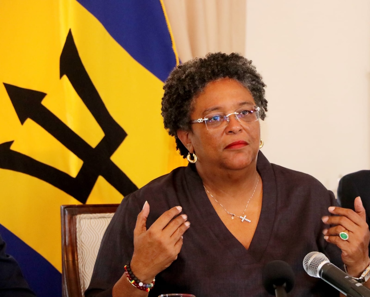 Barbados Prime Minister Establishes National Advisory Council on Citizen Security