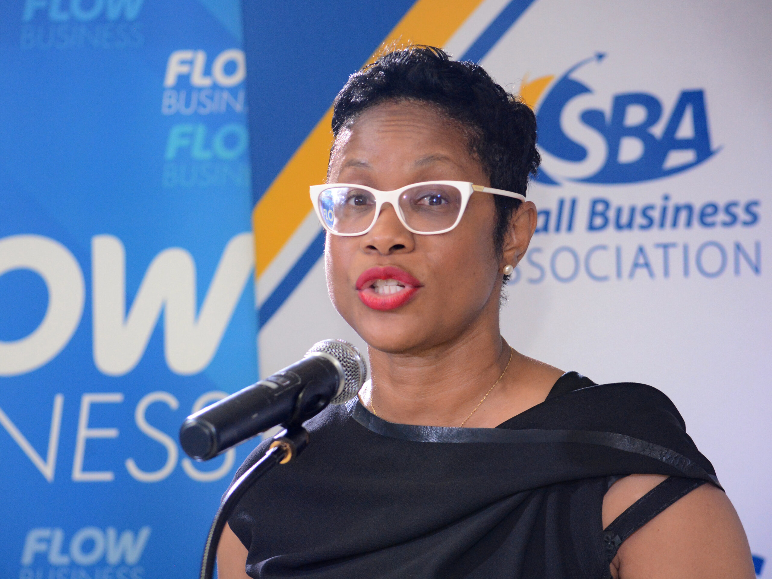 Government to Launch Business Leads Network to Support Small Businesses by Year-End