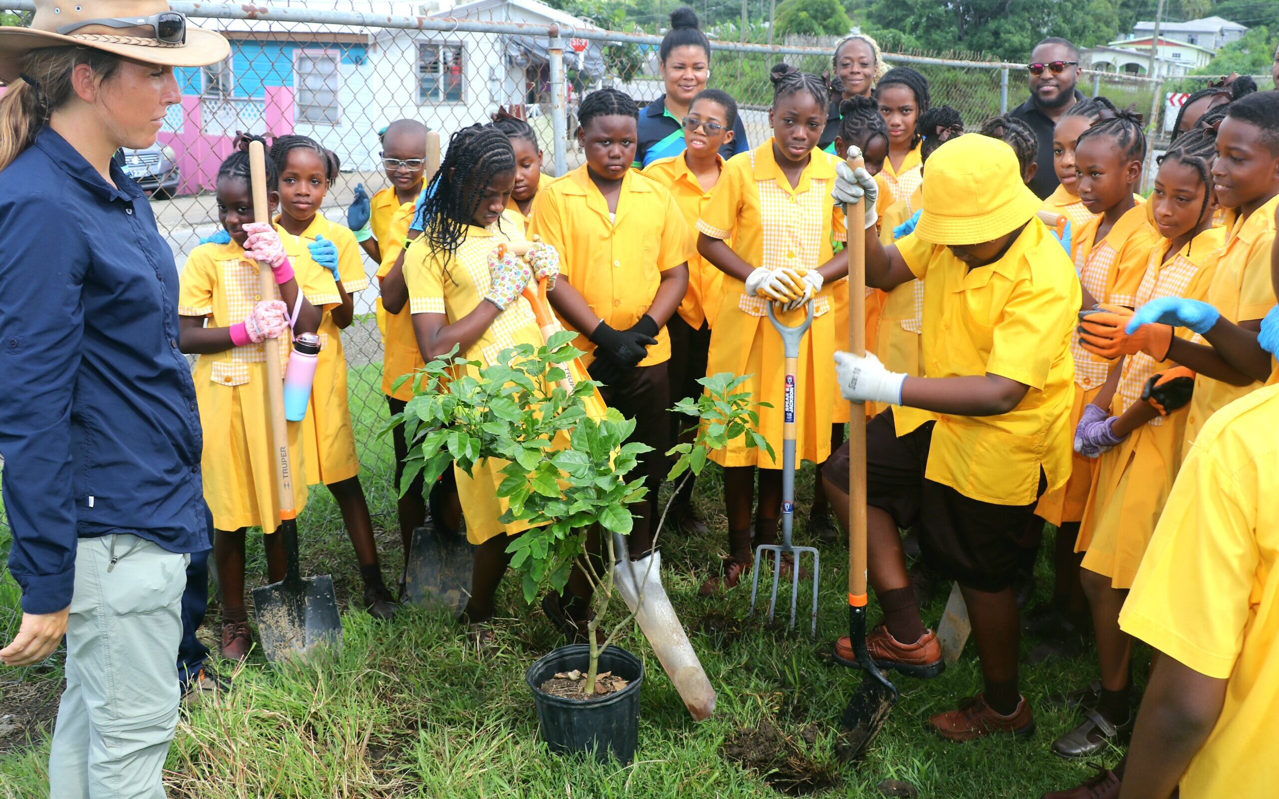 Roberts Manufacturing Donates Fruit Trees to St George Primary's Agricultural Science Programme - School's Agriculture Department Receives Boost