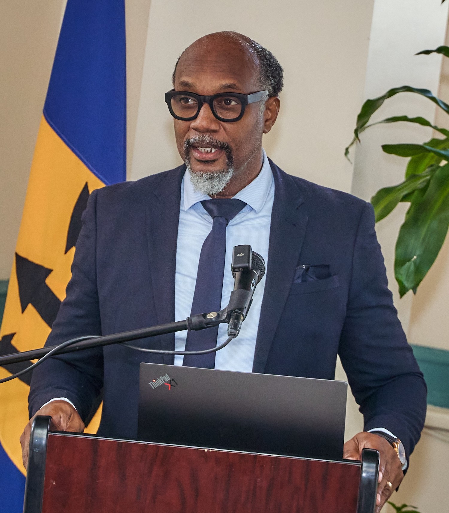 Barbados Private Sector Association Concerned About PriceCheck App's Impact on Price Margins