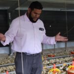 Poultry prices set to rise amid egg supply challenges