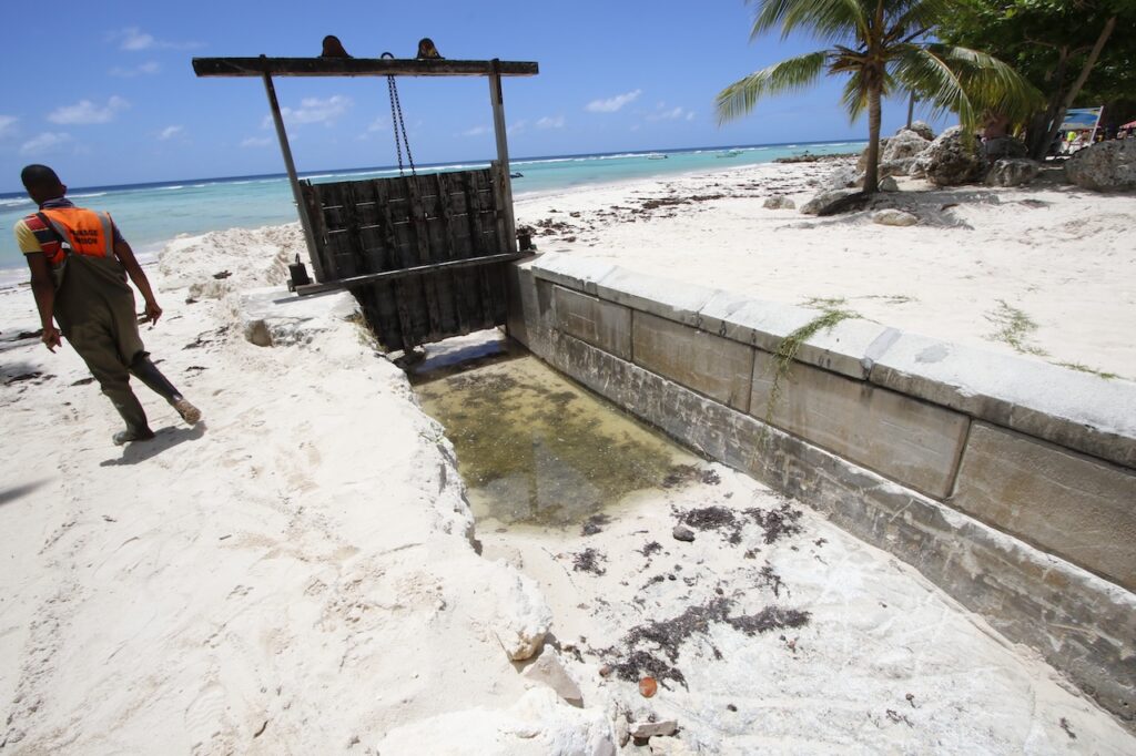 Sluice gate at Graeme Hall opened until Wednesday