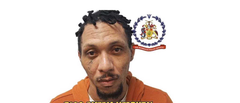 Murder accused to appear in court