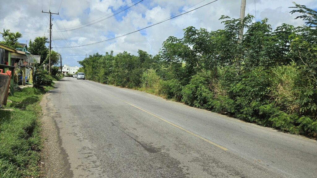 Overgrown road sparks safety concerns in St George - Barbados Today