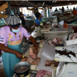 Fisheries Bill set to reform industry with finance, training boost