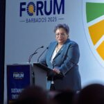 $6B in banks: Mottley says invest it in clean energy