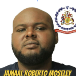 Moseley faces gun and ammunition charges