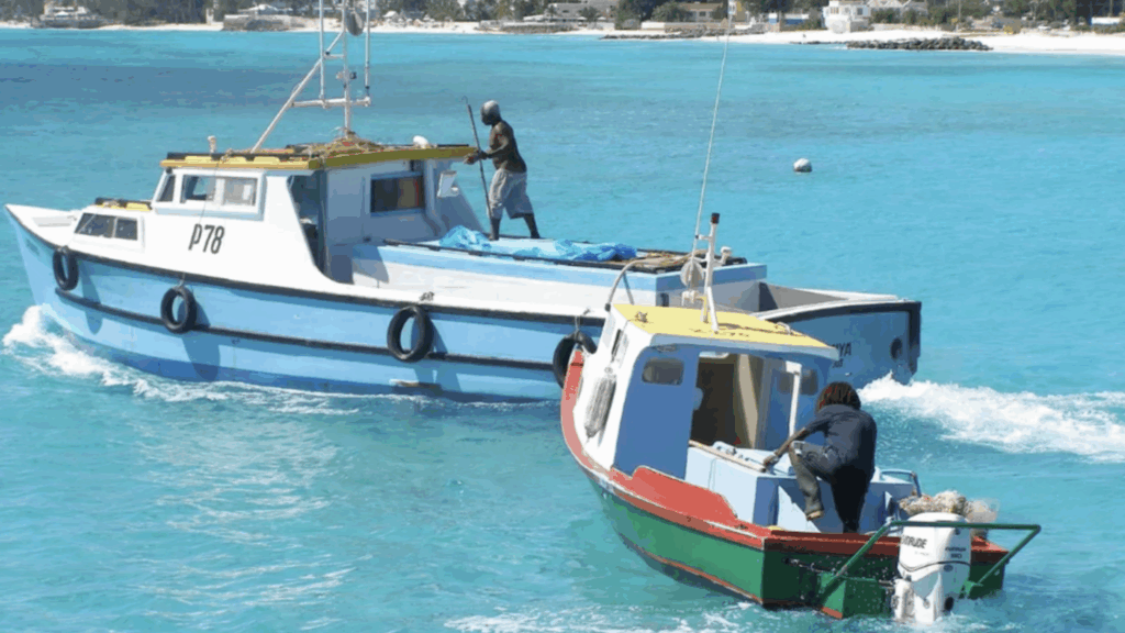 New policy ‘would safeguard livelihoods, cover cost gaps’