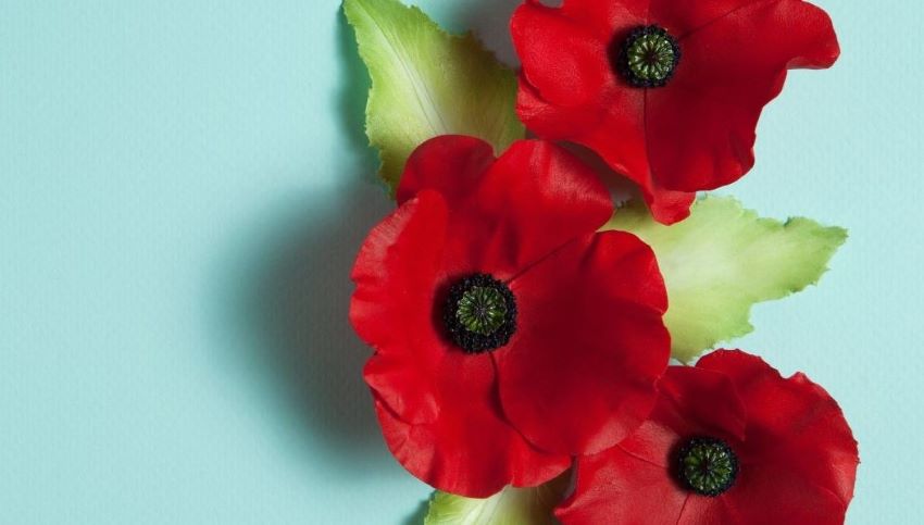 Remembrance Day to be observed on Sunday, November 9