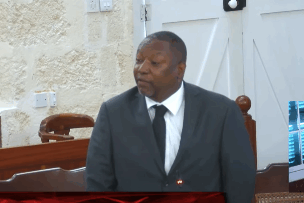 Small states face unfair tax burden — senator