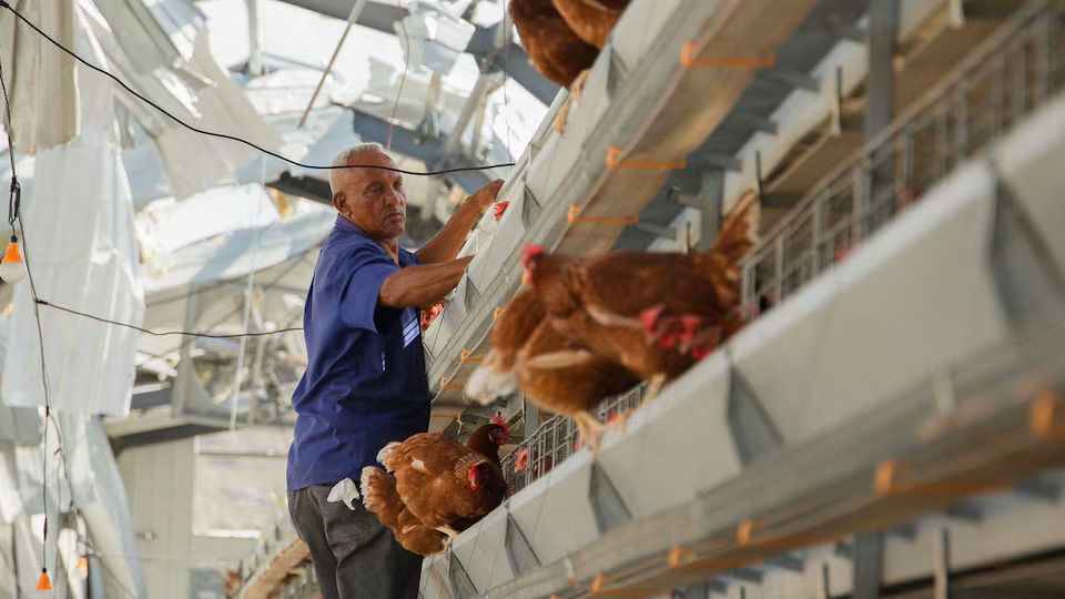 Can technology really help the Caribbean recover faster after disasters?