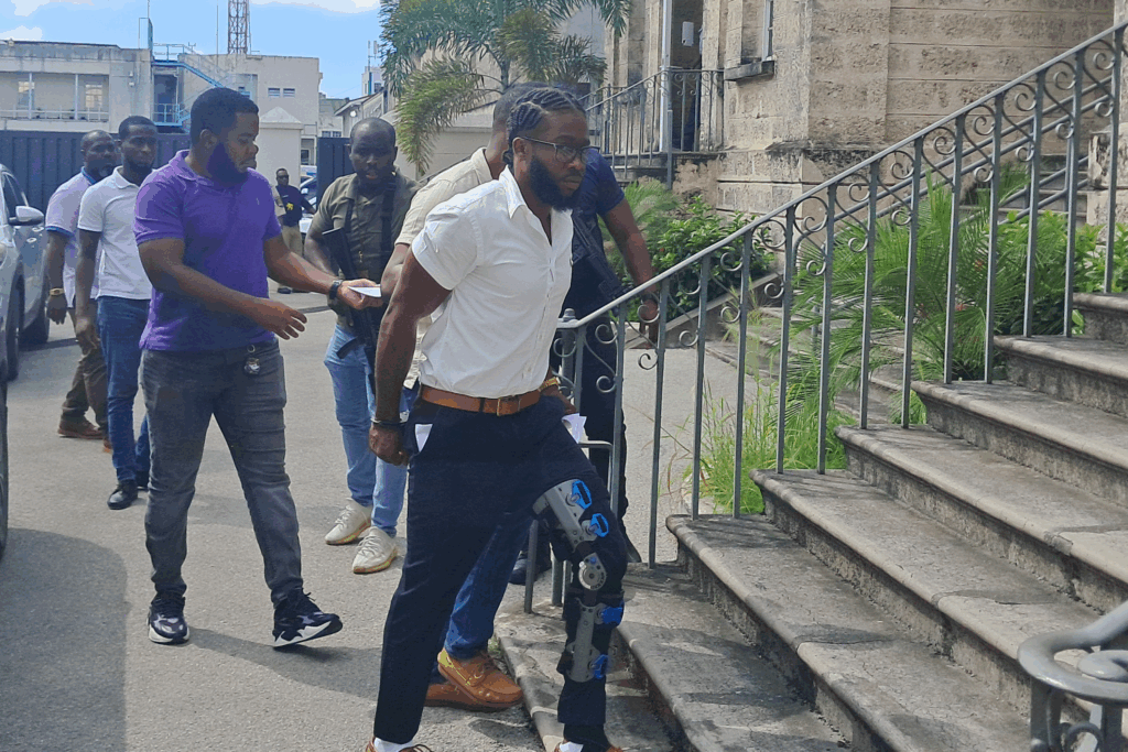 St George man remanded on murder, gun charges