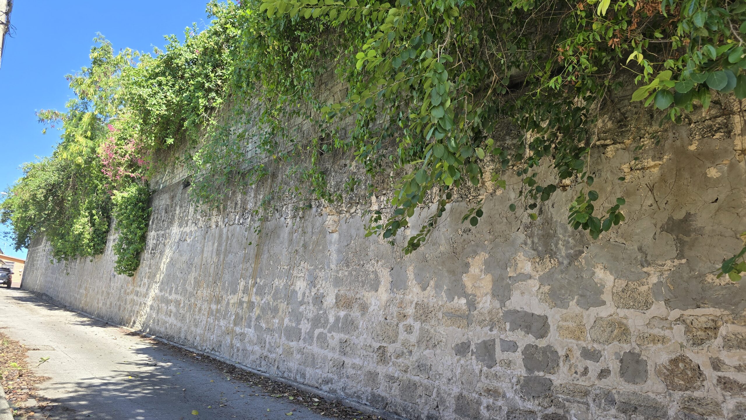 MP vows cleanup amid Glendairy area safety concerns