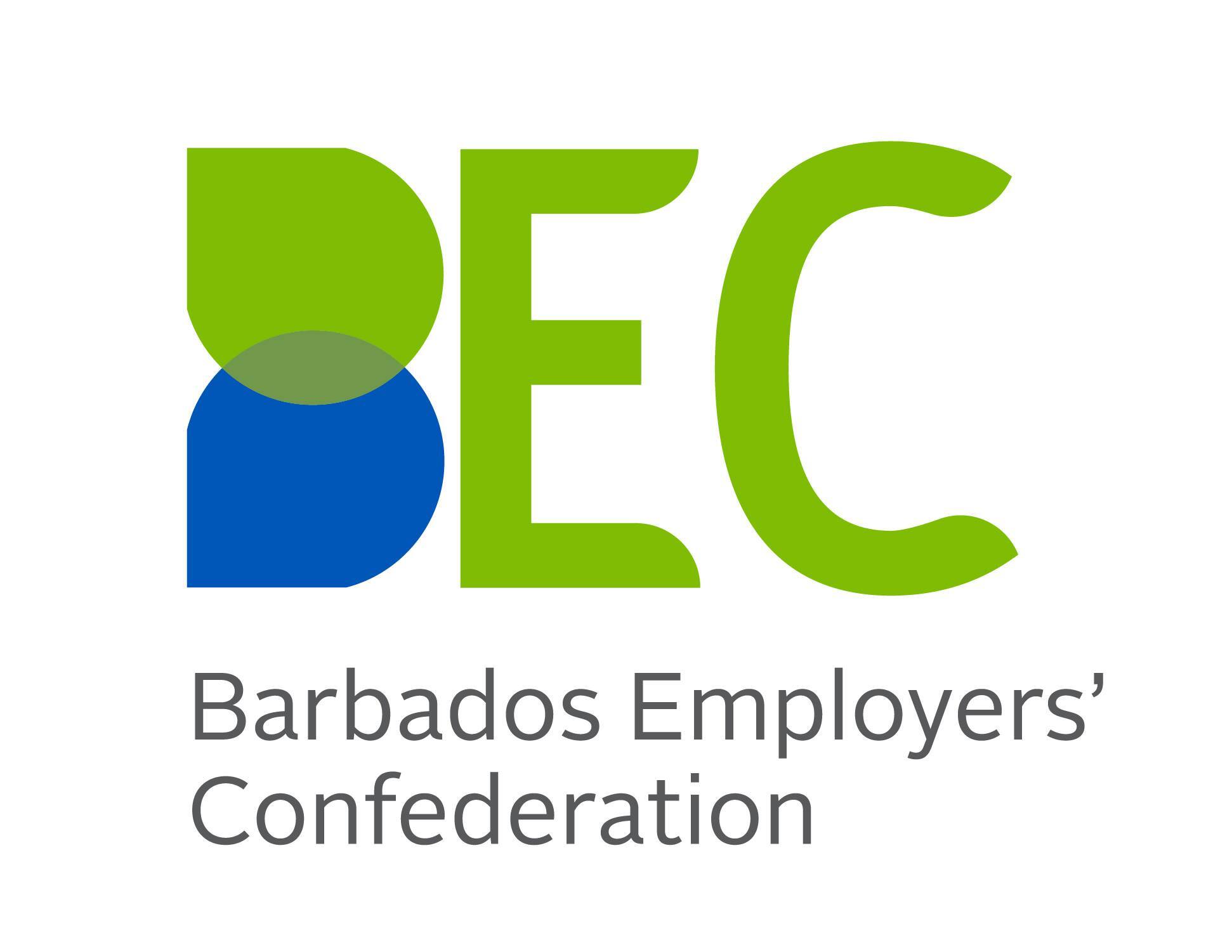 “Let Minimum Wage Board do its job” – BEC