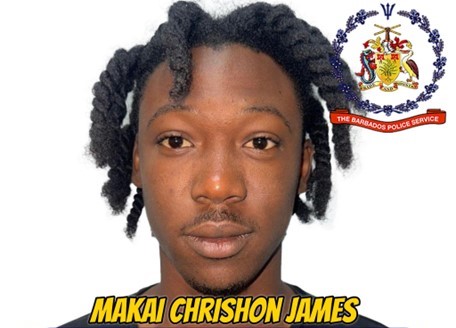 20-year-old out on bail after $68,000 car theft charge