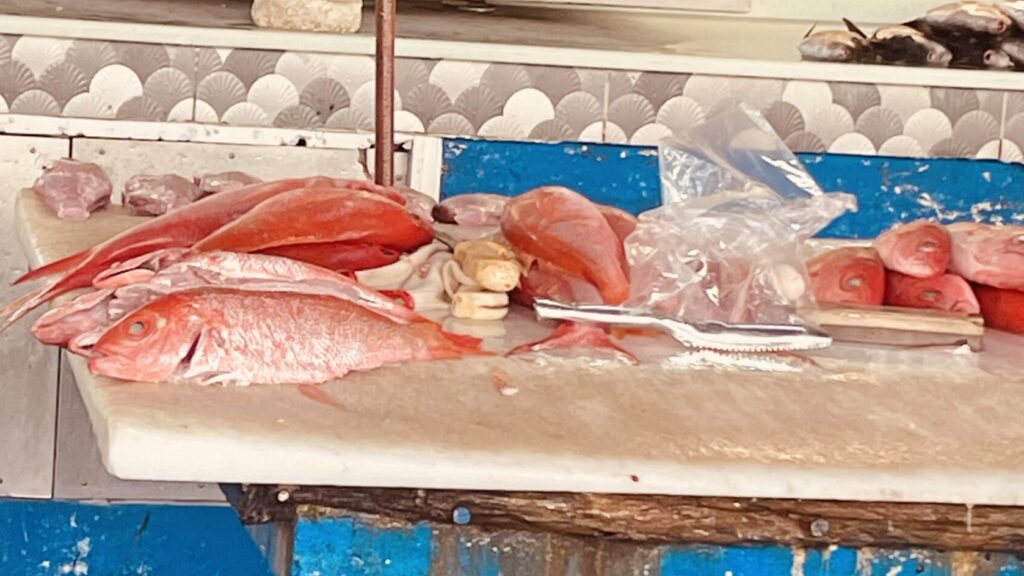 Fishermen: Dwindling catches as seas change, costs rise