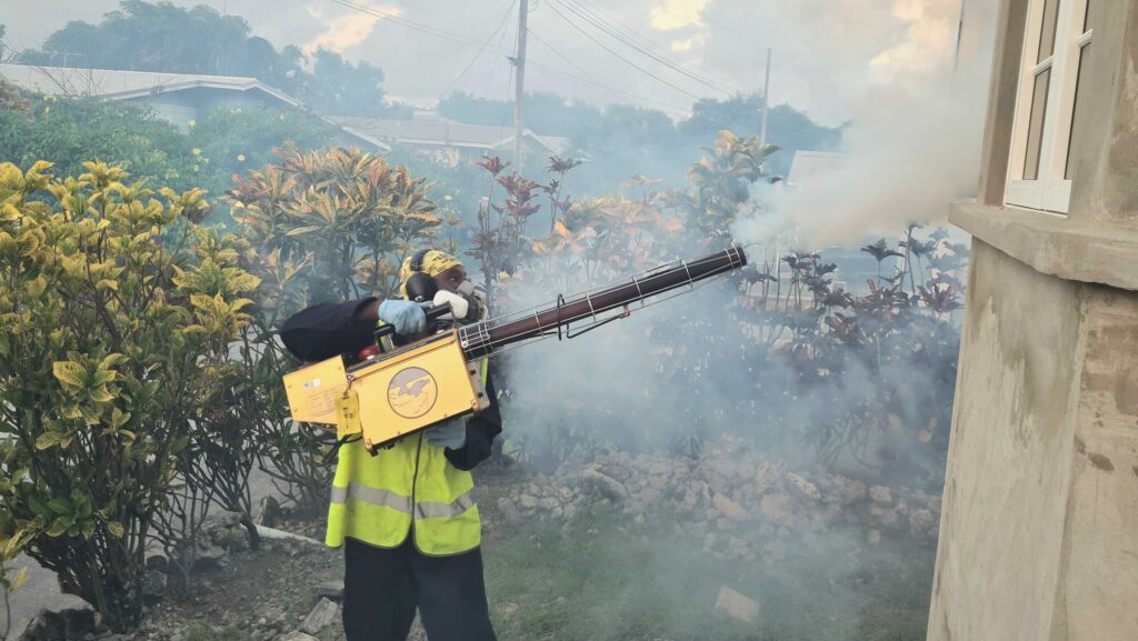 Fogging suspended until the New Year