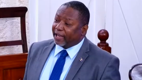 Senate: Opposition accuses govt of slow-marching new constitution