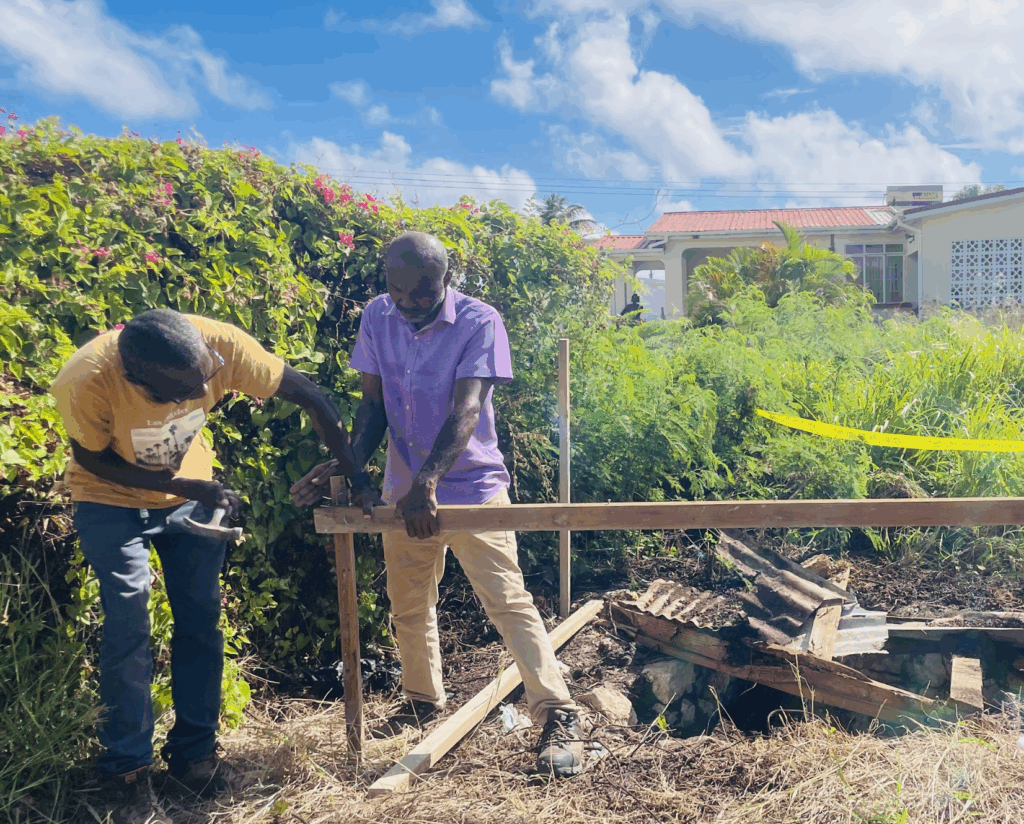 Elderly woman’s fall sparks community outrage