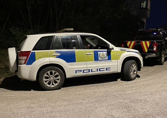 Law enforcement probe after weapons and ammunition seized