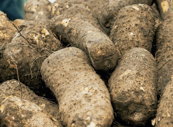 Statement by BADMC on theft of yams