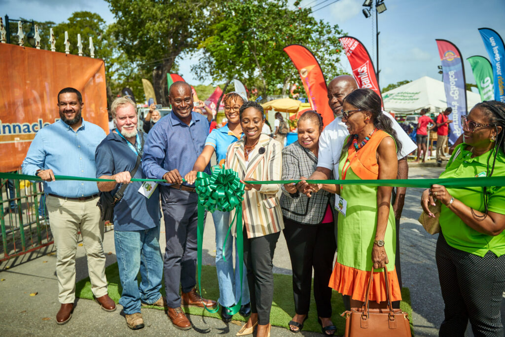 Sugar planters prepare for first cut
