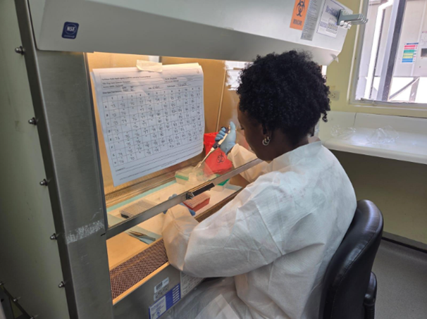 CARPHA underscores the importance of insecticide resistance testing amid Chikungunya resurgence