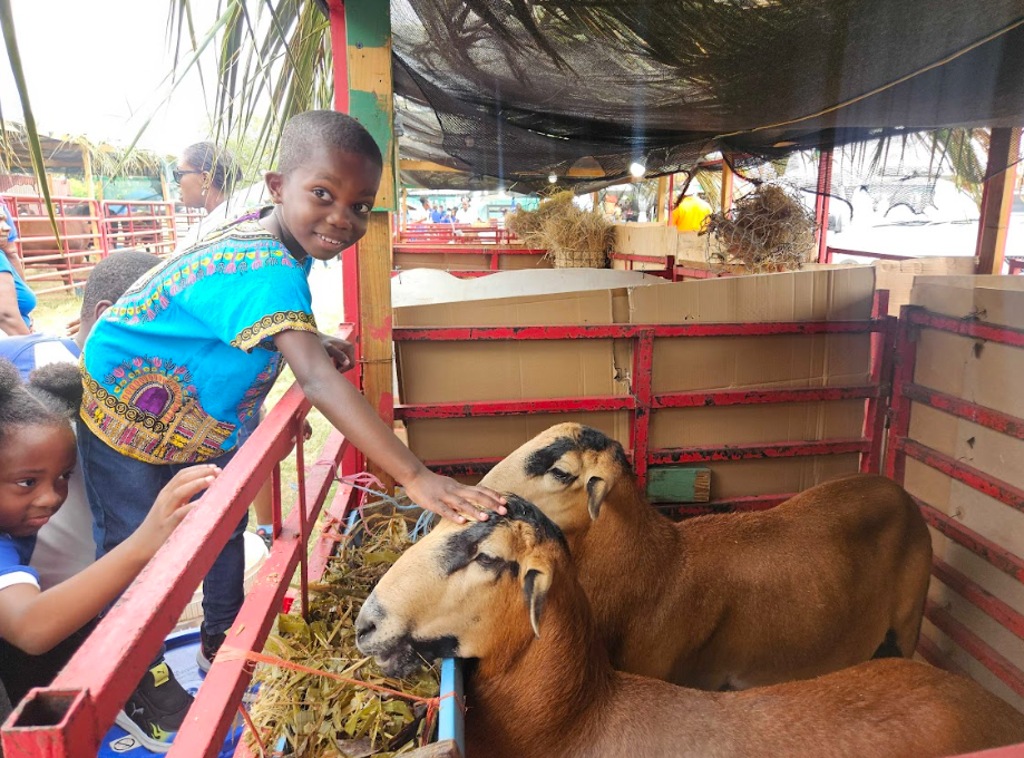 Students flock to Agrofest as exhibition highlights innovation, enterprise  