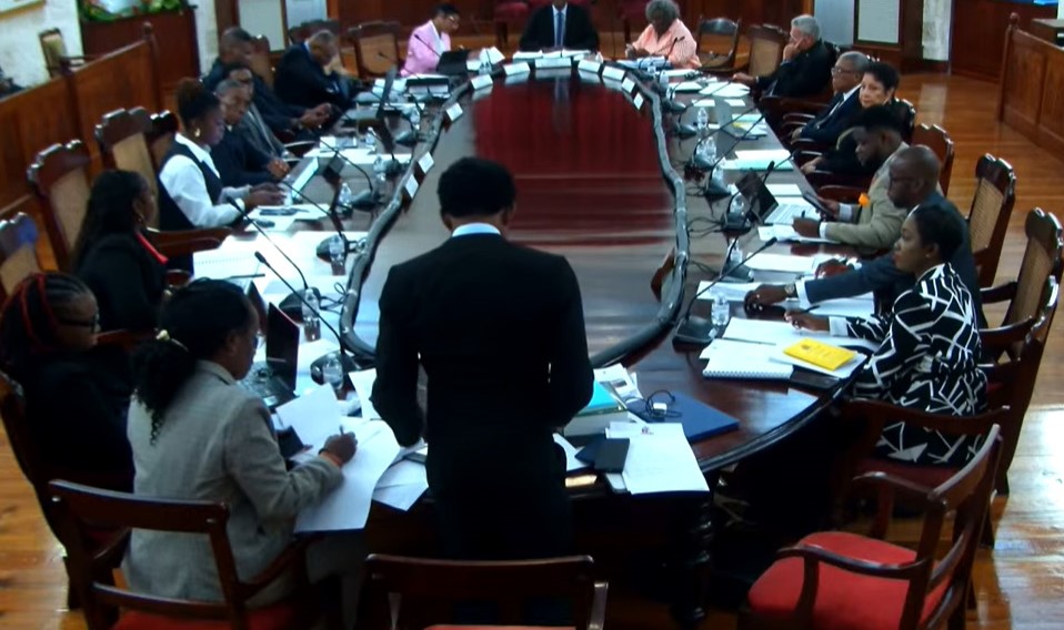 Senate backs govt move to curb MPs switching sides in Parliament