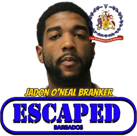 Search underway for escaped prisoner
