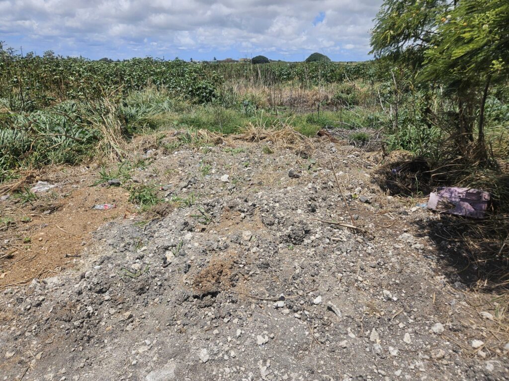 Foul odour at farm eliminated after BADMC clean-up